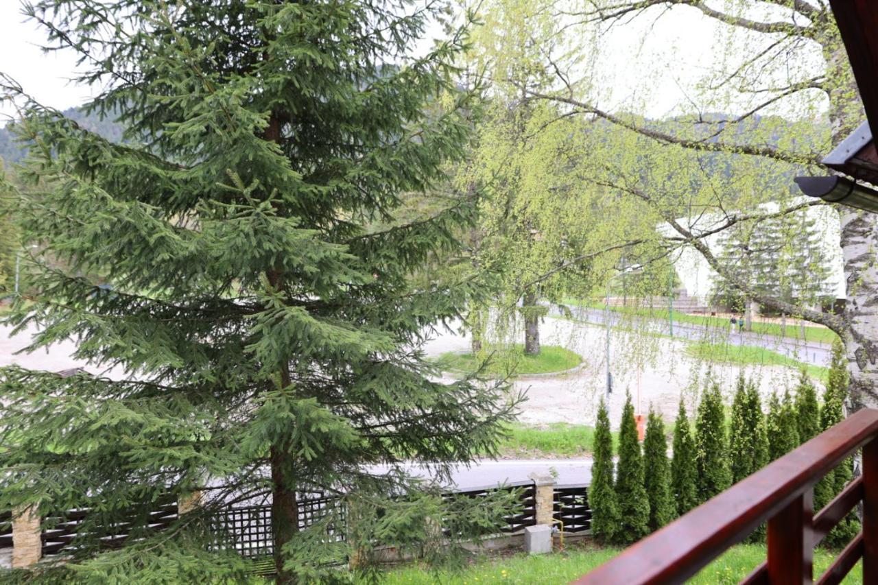 Vila Pinul Si Mesteacanul Poiana Brasov Bagian luar foto