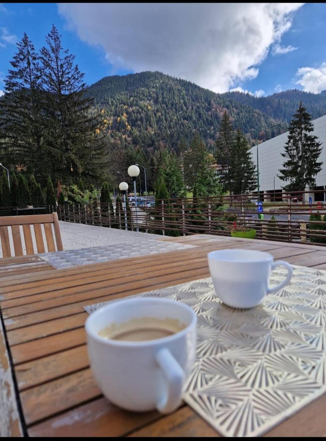 Vila Pinul Si Mesteacanul Poiana Brasov Bagian luar foto