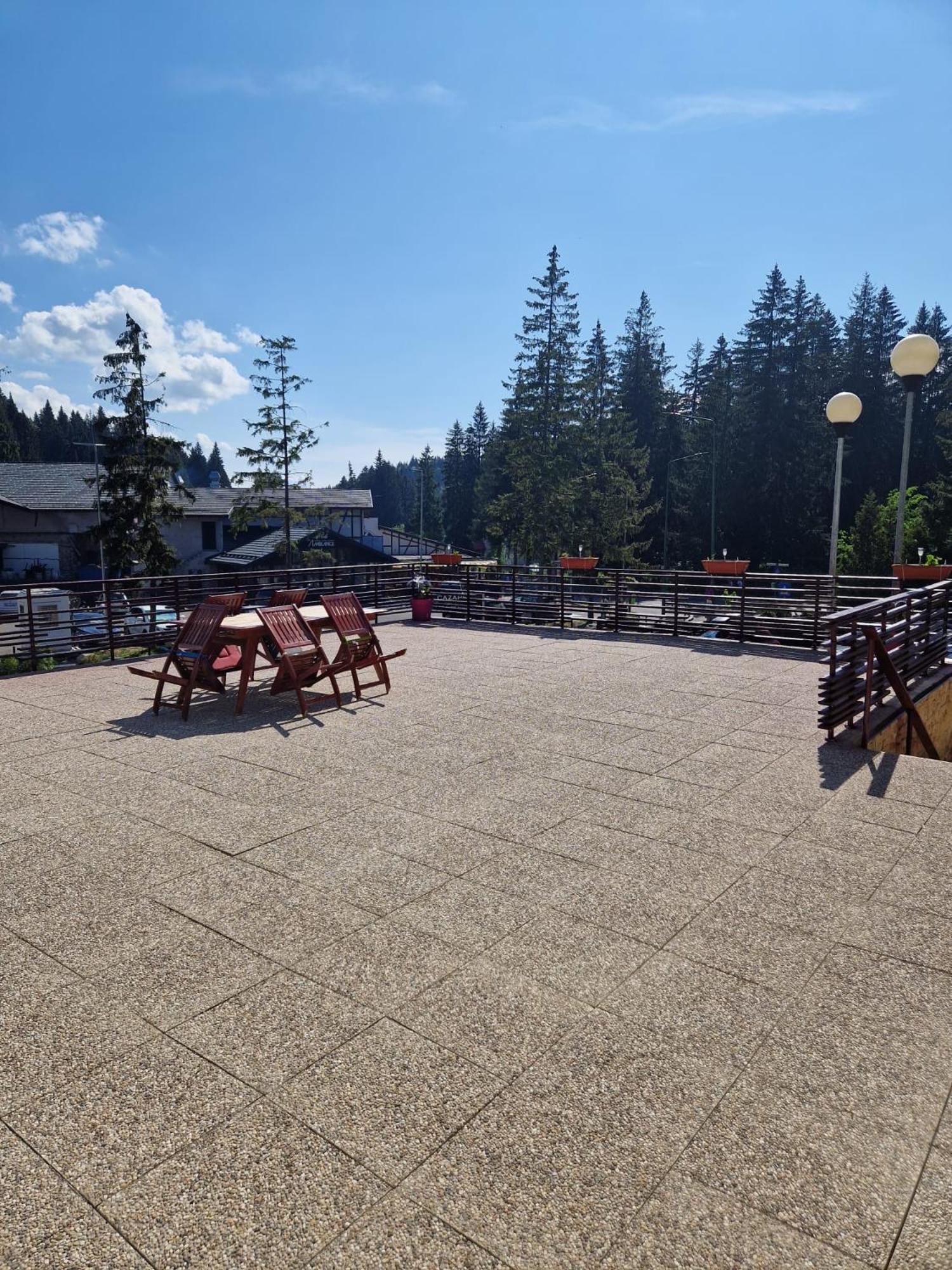 Vila Pinul Si Mesteacanul Poiana Brasov Bagian luar foto