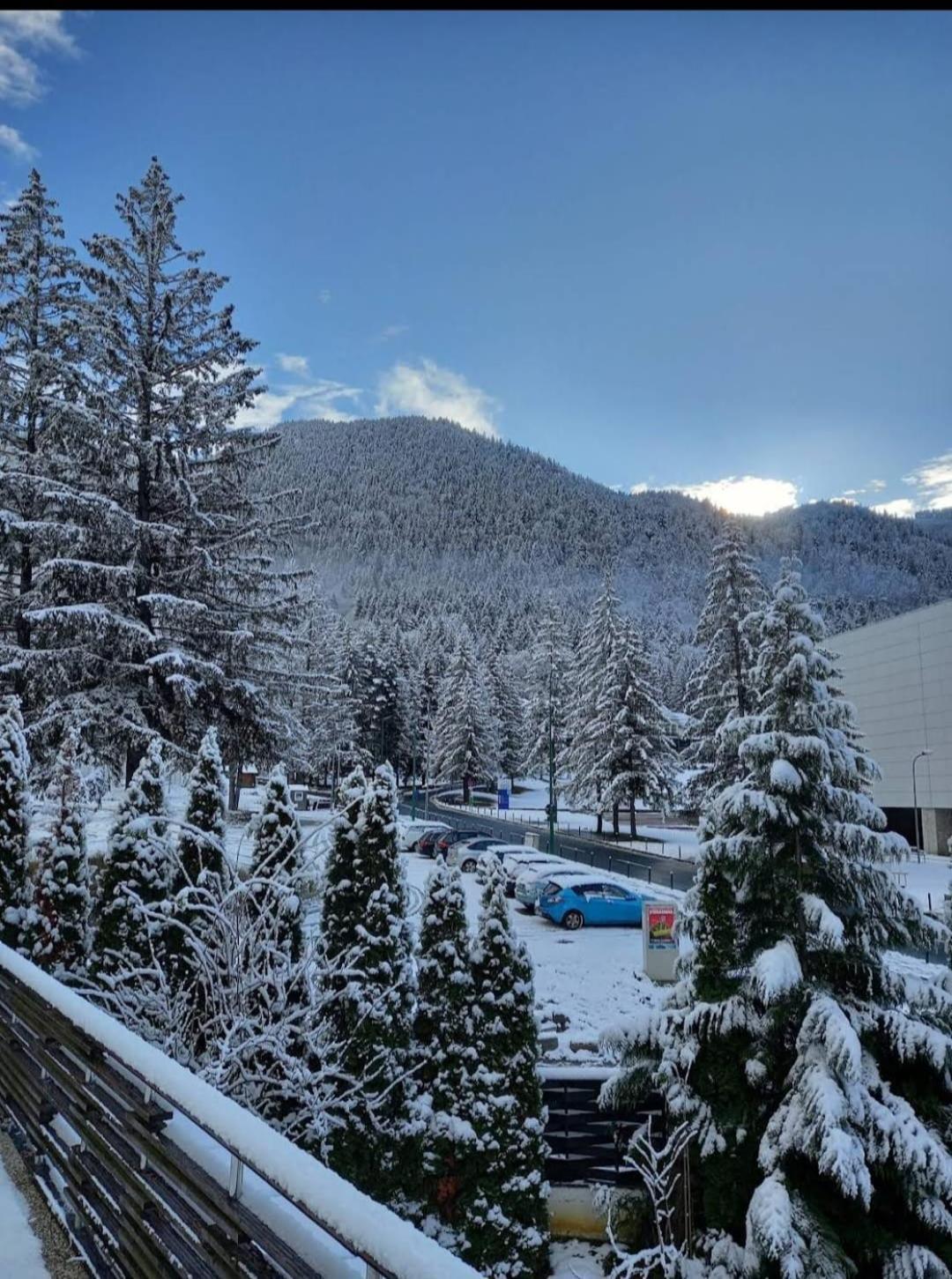 Vila Pinul Si Mesteacanul Poiana Brasov Bagian luar foto