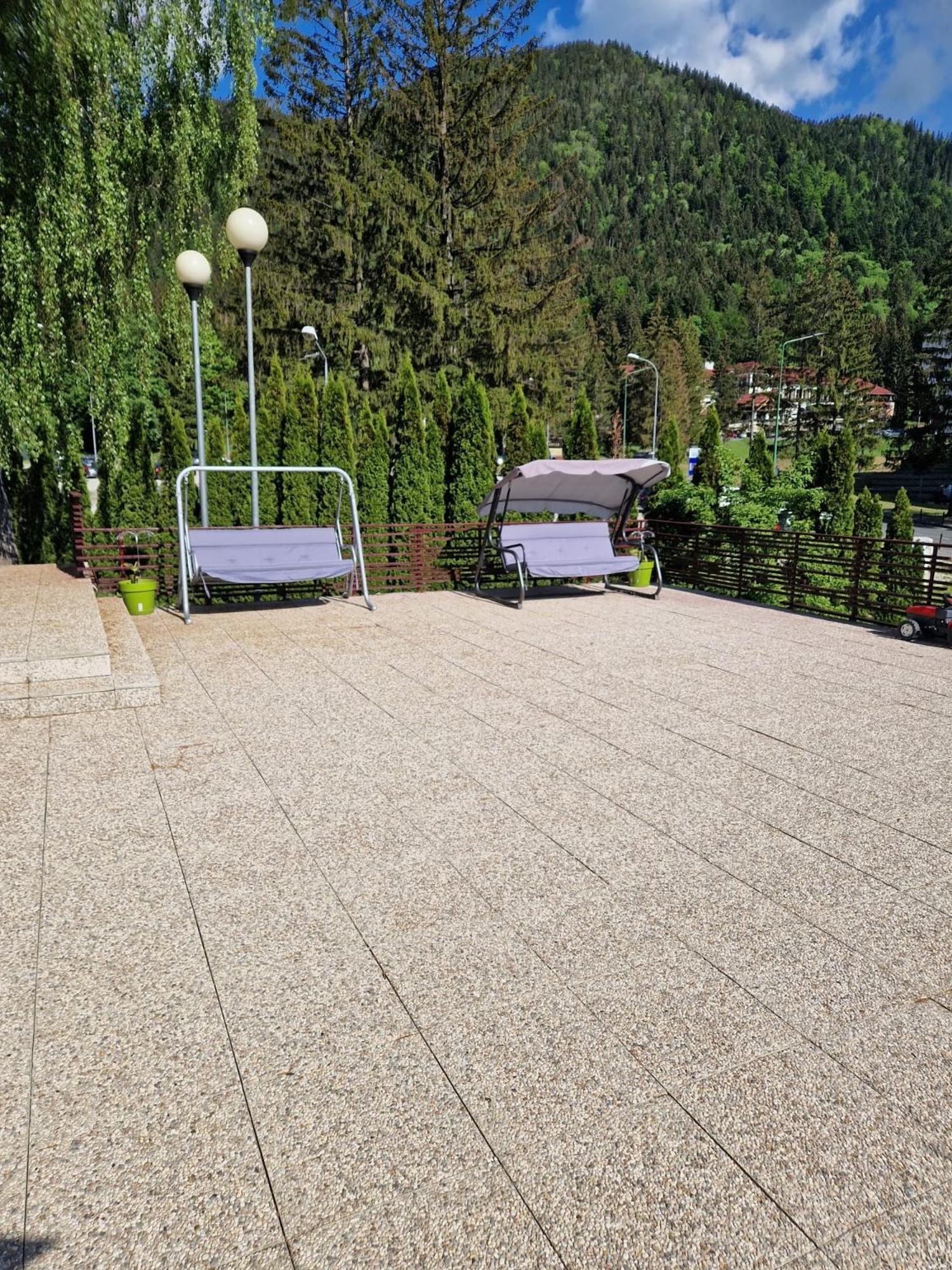 Vila Pinul Si Mesteacanul Poiana Brasov Bagian luar foto